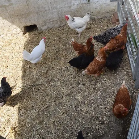 Casa di campagna Gaestehaus Kirchenbauerhof